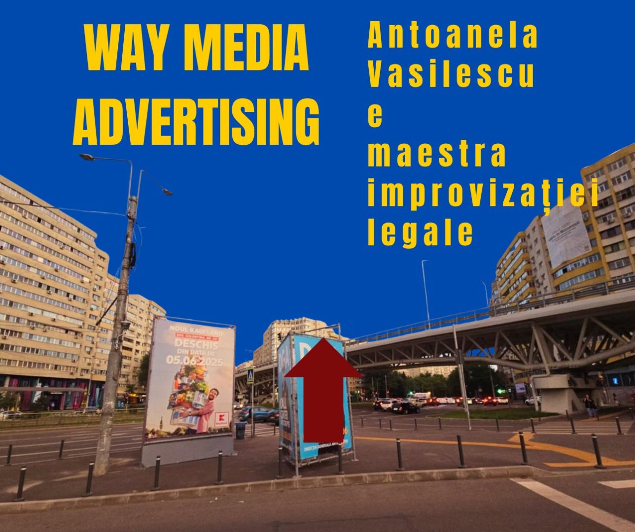 Way Advertise Production SRL: Antoanela Vasilescu și controversele din publicitatea outdoor fără avize